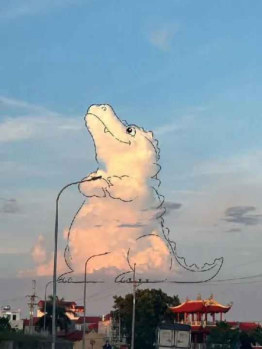 Cá Sấu Nhỏ